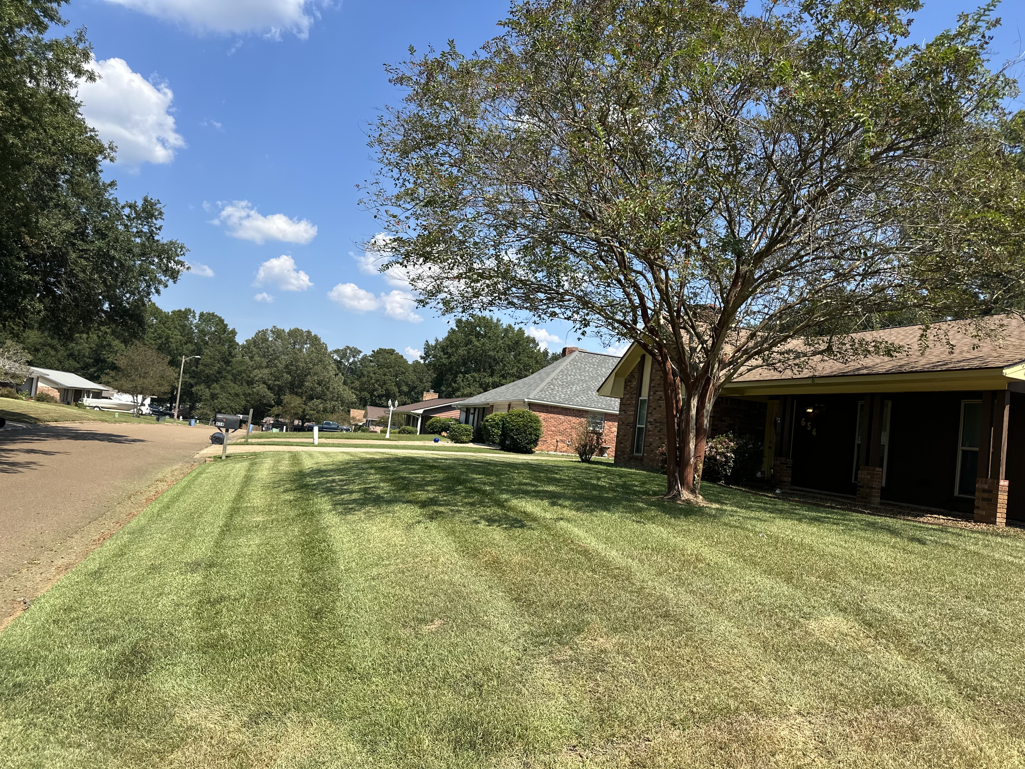 Striped mowed lawn